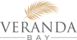 VB+Logo